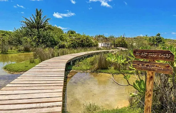 ހަތަރުވަނަ ކުއާޓާގައި ބީއެމްއެލްގެ އެހީ ފަސް ރަށަކަށް