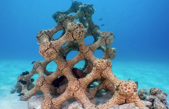 ސަމާ އައިލެންޑްގެ "3ޑީ" މުރަކަަތައް ވަރަށް ޗާލު!