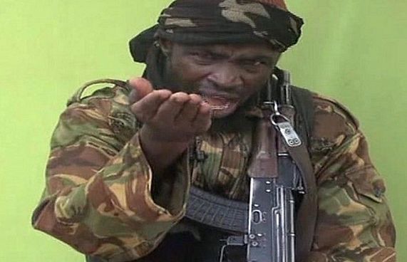 ބޯކޯ ހަރާމްގެ ލީޑަރު މަރާލައިފި ކަމަށް ބުނެފި