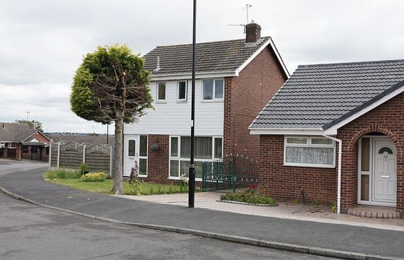 ކޮތަރު ނަޖިހާހެދި ގަސް ކޮށާލި ގޮތުން ބޮޑު ސަމާލުކަމެއް