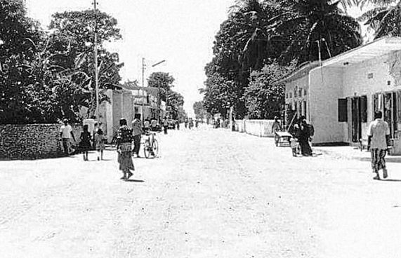 ބުއްދިވެރި ސޭކުންގެ ޒައީމް