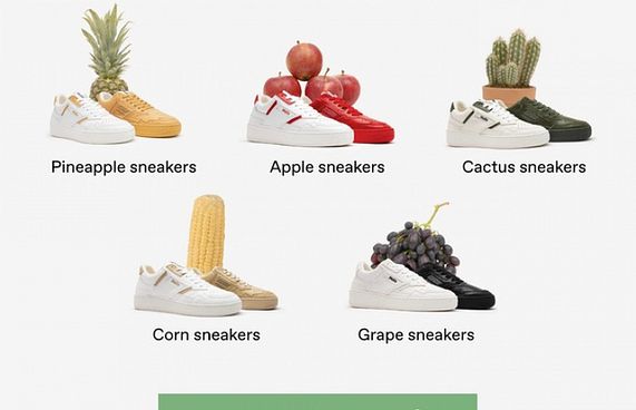 މޭވާގެ ކުނިން ބޫޓު ކަލެކްޝަނެއް