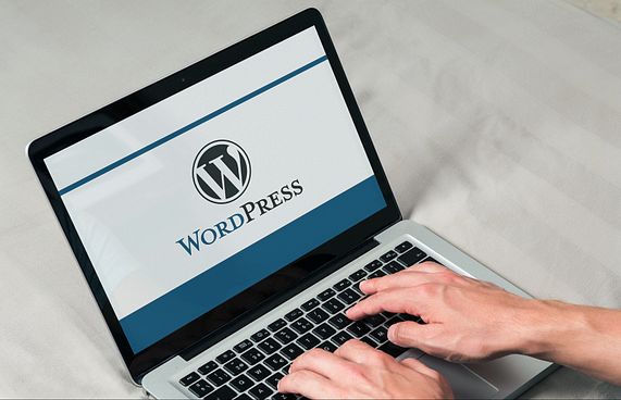 ފަސޭހަކަމާ އެކު ދިވެހި ވެބްސައިޓް ހެދޭ ޕްލަގިންއެއް