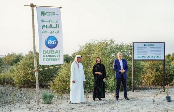 ދުބާއީ ފެހިކުރަން މިލިއަން ގަސް އިންދަނީ