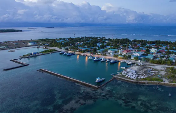 ދާންދޫގައި އެލާޖިކެއް ވެގެން މީހަކު ނިޔާވެއްޖެ