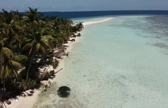 ކުއްޖާ ފެންގަނޑަށް ވެއްޓުނީ މަންމަ ނިދިފައި އޮއްވައި