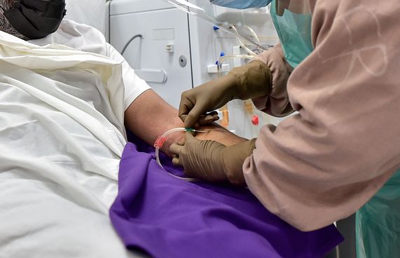 ޔޫއޭއީއަށް ފޮނުވަނީ ކިޑްނީ ޓްރާންސްޕްލާންޓަށް