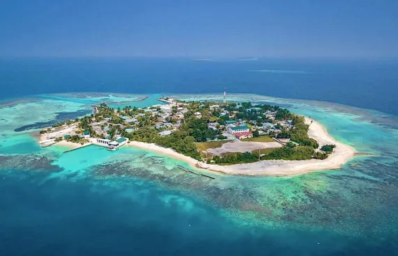 ގާތުން ބޯން އޮއްވައި، ތުއްތު ކުއްޖަކު މަރުވެއްޖެ