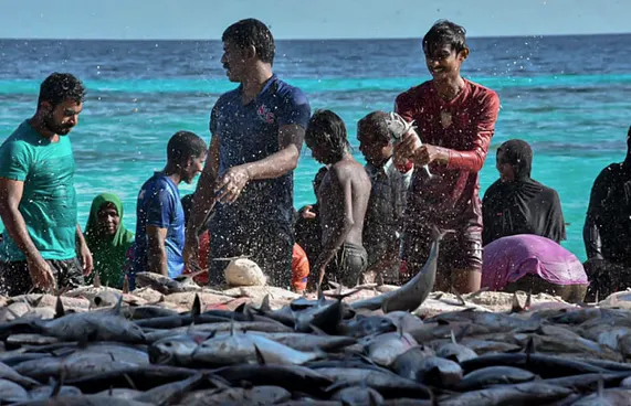 ދޮޅުމަސް ތެރޭ ބުރުންޏަށް 65،000 ރާގޮނޑި!