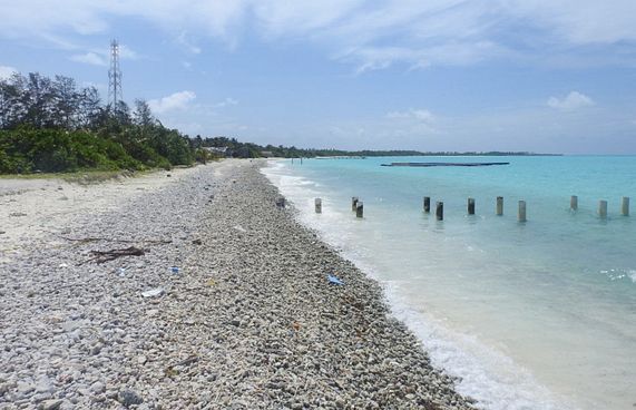 ކެލާގެ ހިމުން ދޮންވެލި ބީޗު އަކިރިއަށް ވަނީ!