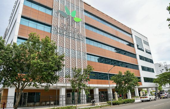 ތައިރޮއިޑް ކެންސަރު ބަލީގެ ސާޖަރީ ޓްރީ ޓޮޕުން ކޮށްފި