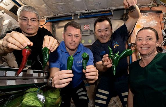 ޖައްވުގައި މިރުސް ހެއްދި އެސްޓްރޮނޯޓުން ނެޕީގައި