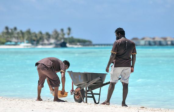 ސާވިސް ޗާޖާއި މިނިމަމް ވޭޖަށް އަމަލުކުރޭތޯ ބަލަނީ