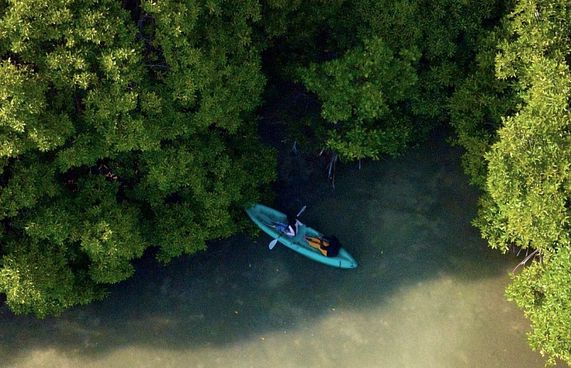 ހުރާގައި ގެސްޓްހައުސް އަޅަން 17 ބިން ކުއްޔަށް ދޫކުރަނީ