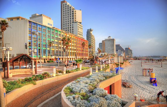 ދިރިއުޅެން އެންމެ އަގު ބޮޑު ސިޓީ އަކީ ތެލްއަވީވް