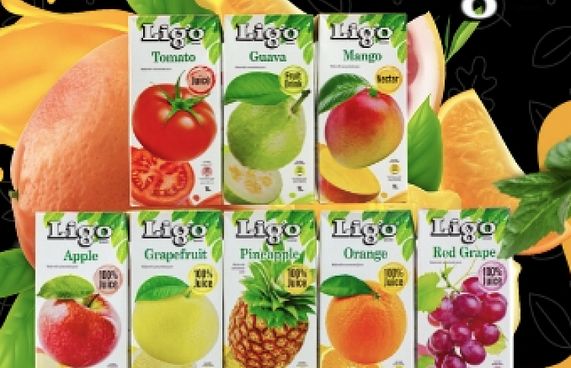 އޭޑީކޭ ޖެނެރަލް ޓްރޭޑިން އިން ލިގޯ ޖޫސް ރާއްޖެއަށް