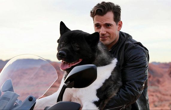 ކެވިލްގެ ހުރިހާ ވެސް އެއްޗަކީ ކުއްތާ