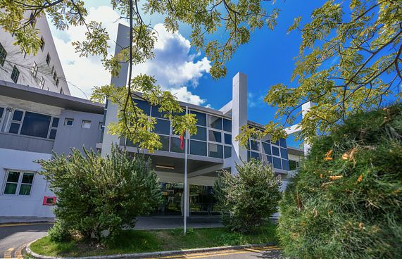 ސުވިމިން ޕޫލަކަށް ވެއްޓި ކުއްޖަކު މަރުވެއްޖެ