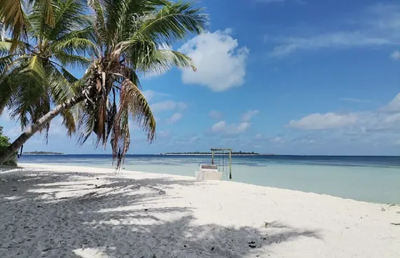 މަސް ހިފަން އުޅުނު 22 އަހަރުގެ ޒުވާނަކު ގެނބިގެން ނިޔާވެއްޖެ