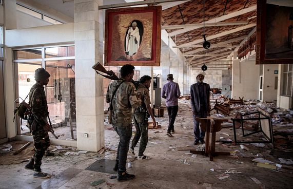 ޓިގްރޭ ހަނގުރާމަވެރިން ތަރިކައިގެ ސަރަހައްދު ހިފައިފި