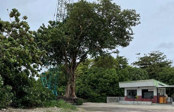 ކެނދިކުޅުދޫން 18 ނިކަގަސް އެހެން ތަންތަނަށް ގެންދަނީ