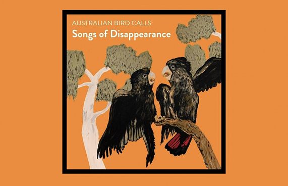 ދޫނީގެ "ލަވަތަކެއް" އޮސްޓްރޭލިއާގެ މިއުޒިކް ޗާޓަކަށް