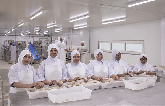 އެންސިސްގެ ކޭނަރީ އަށް ދެ އަހަރު ފުރުން ފާހަގަކޮށްފި