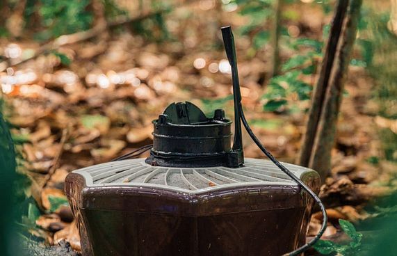 ސޮނެވާފުށީގައި ފޮގެއް ނުކުރޭ، އެކަމަކު މަދިރިއެއް ނުޅޭ