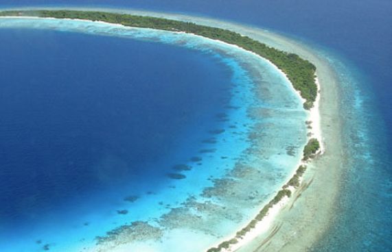 ދޮޅިޔަދު އާއި ގަސްވެލި ވިއްކާލަން އިއުލާނުކޮށްފި