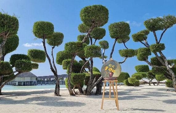 ލަކްސްގެ ކުރެދި ގަސްތަކުން ހިތްގައިމު ޑިޒައިނެއް