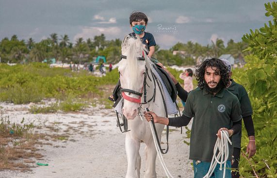 އައްޑޫގެ އަސްތައް ކިހާ މޯލްޑިވްސް އަށް