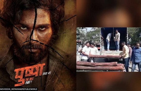 ޕުޝްޕާ ފިލްމުގައި ދައްކާ ލަކުޑި ވިއްކަނިކޮށް އަތުލައިގެންފި