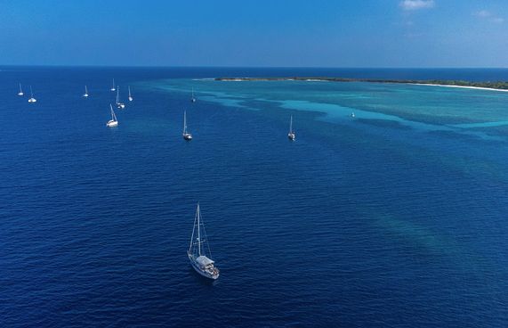 ރެލީގައި ބައިވެރިނުވެ ގިނަ ޔޮޓްތައް ރާއްޖޭން ފުރައިފި