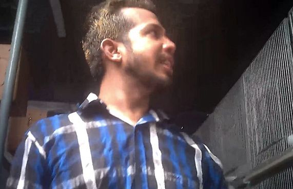 އެފްރިކަން ގްރޭ ވިއްކާ މީހަކު ބޭޒާރުކޮށްލައިފި