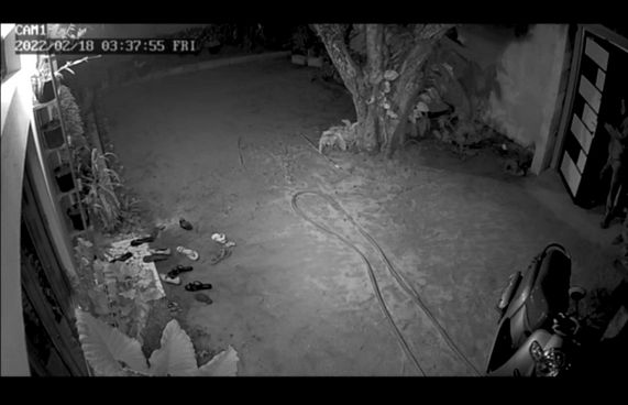 ސައިކަލްގައި ހުޅުޖެހި ތުހުމަތުވި ދެ މީހަކު ދޫކޮށްލައިފި