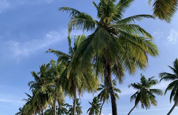 އައްޑޫގެ ރުއްފަށާ ކަނޑާލުމުން އެންމެން ރުޅިގަދަވެއްޖެ