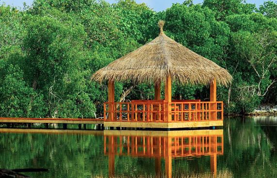 ބީއެމްއެލްގެ އެހީގައި މޮޅަދޫގައި އިކޯ ޕާކެއް