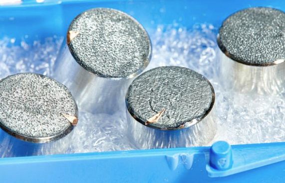 ހަނދުން ގެނައި ހިރަފުސްތަކެއް ނީލަމުގައި ވިއްކާލަނީ