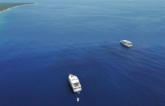 ފުވައްމުލަކުގައި ސަފާރީތަކުން ނަގާ ފީ މުރާޖައާ ކުރަނީ