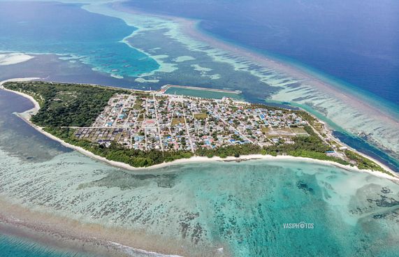 މަކުނުދޫގައި 8 މަހުގެ ކުއްޖަކު ފިހިގެން ފަރުވާ ދެނީ