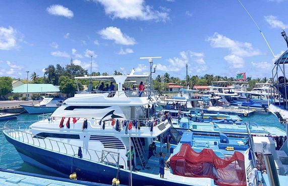 ކޫއްޑޫގައި މަސްވެރިން ހަޅުތާލުކުރަނީ، މަހެއް ނުކިރާ!