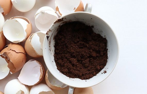 ބިހުގެ ތޮށިން ކޮފީގެ ހިތިކަން ފިލުވޭނެ