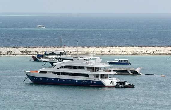 ސަފާރީ ބަނދަރުކުރާތަން ހުސްކުރުމަކީ ބޮޑު ގޮންޖެހުމެއް!