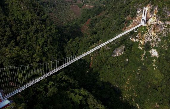 ވިއެޓްނާމުގައި ދުނިޔޭގެ އެންމެ ދިގު، ބިއްލޫރި ބްރިޖު