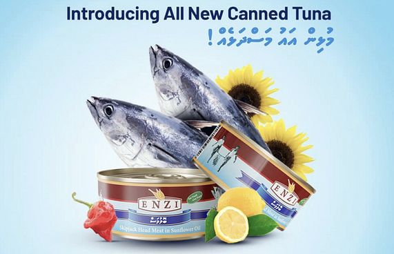 އެންޒީން "ބޮލުމަސް" ދަޅު ތައާރަފްކޮށްފި