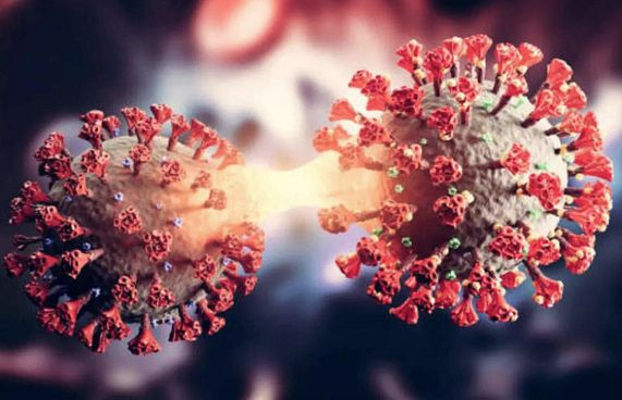 ޗައިނާ އިން ލެންގްޔާ ހެނިޕަވައިރަސް ފެނިއްޖެ