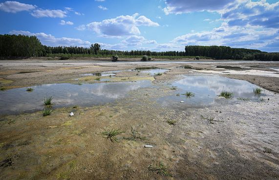 ހޫނު އެންމެ ގަދަވީ މިދިޔަ 8 އަހަރު: ރިޕޯޓް