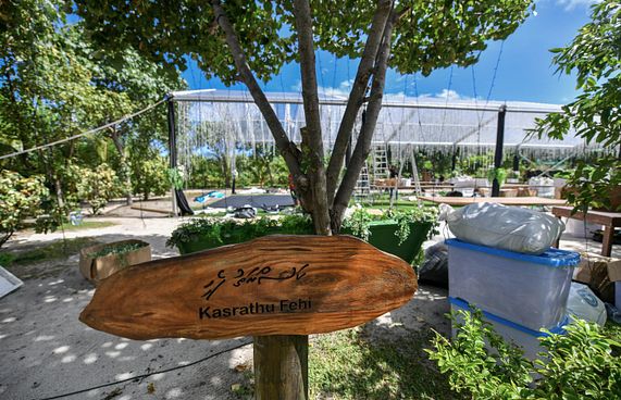 ލޮނުޒިޔާރަތްޕާކުގެ ވިނަގަނޑު މައްޗަށް ދޮންވެލި އަޅައިފި