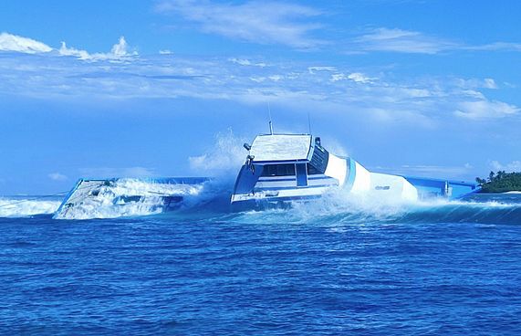 މަސް ދޯންޏެއް ފަރަކަށް އަރައި ބިންދައިގެން ހިނގައްޖެ