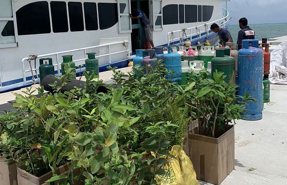 ގަސްތަކުގެ އަގު ނުދީގެން ޒުވާން ދަނޑުވެރިޔާގެ ޝަކުވާ!